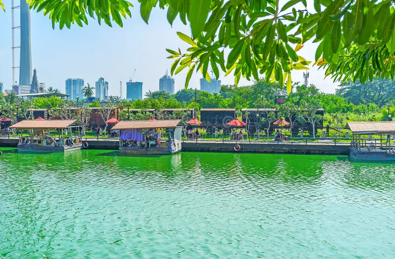 Cultural performances